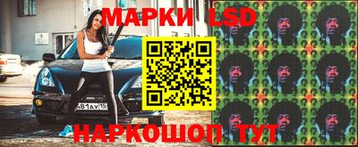 крисы Кулебаки