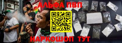 крисы Кулебаки