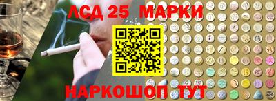 крисы Кулебаки