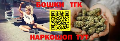 крисы Кулебаки