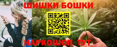 крисы Кулебаки