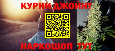 крисы Кулебаки