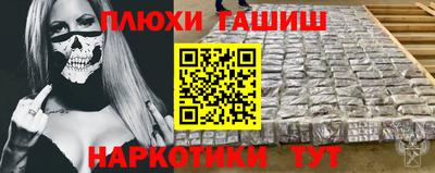 крисы Кулебаки