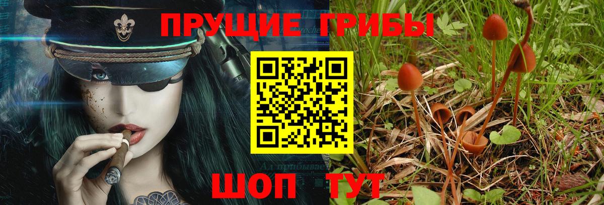 Галлюциногенные грибы мухоморы  Вход с VPN  Елабуга 