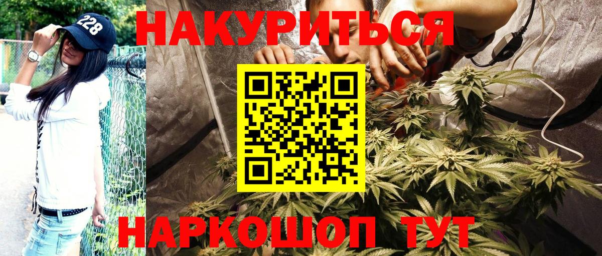 Конопля марихуана  Марихуана гибрид  Вход с VPN  Елабуга  Бошки марихуана AK-47  Каннабис AK-47 